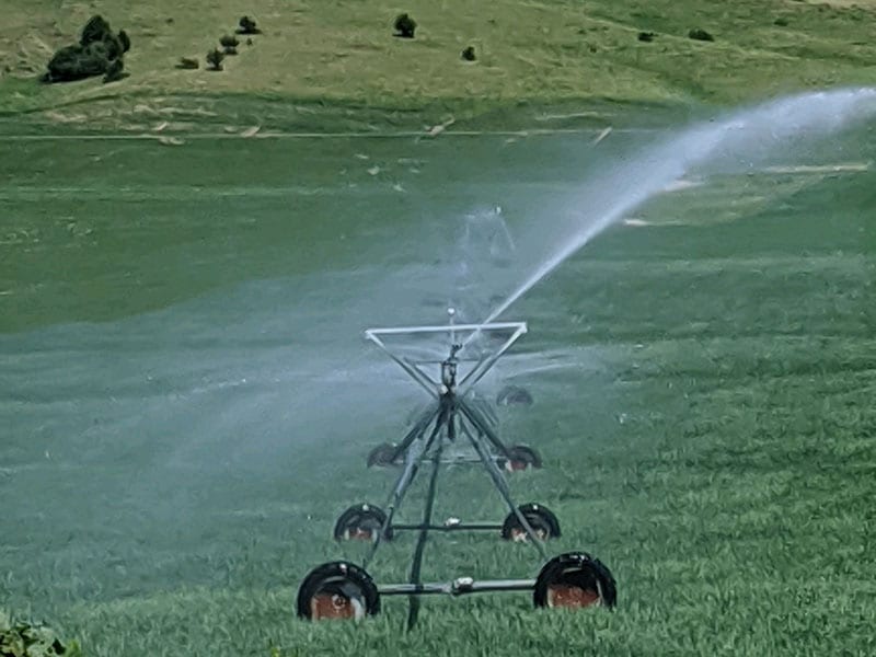 Pivot Rszd